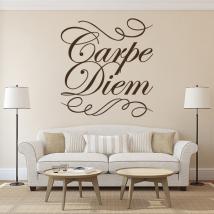 Decorative vinyl Carpe Diem