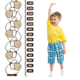 Decorative vinyl meter stature children's sheep