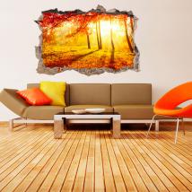 3D vinyl hole wall trees autumn