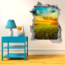 Vinyl 3D wall sunset in the field