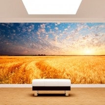 Photo wall murals sunsets in the field