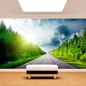 Photo wall murals road and roads