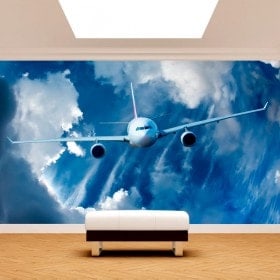 Photo wall murals aircraft in the sky