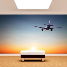 Photo wall murals plane sunset