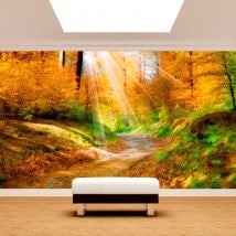 Photo wall murals trail in nature