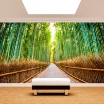 Photo wall murals road and bamboos