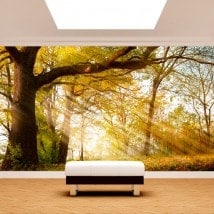 Photo wall murals tree nature