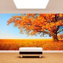 Photo wall murals tree fall