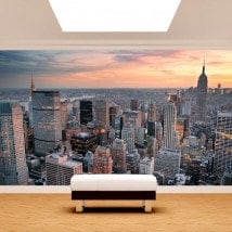 Photo wall murals New York City