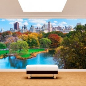 Photo wall murals Central Park New York