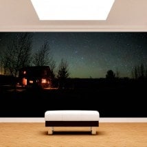 Cabin photo wall murals in nature