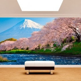 Photo wall murals Mount Fuji trees flower of cherry