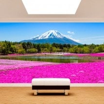 Photo wall murals flowers Roses gardens Mount Fuji