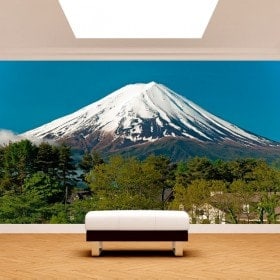 Mt.Fuji Photo wall murals