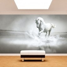 Fotomural. white horse