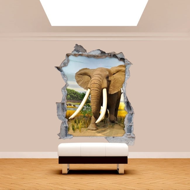 🥇 Vinyl wall broken 3D elephant Africa 🥇