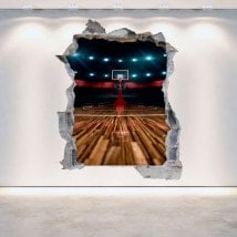 Vinyl 3D Basketball Court
