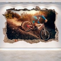 3D Mountain Bike vinyl