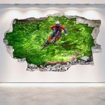 3D Mountain Bike vinyl hole wall