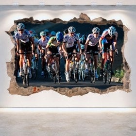 Vinyl cycling broken 3D wall