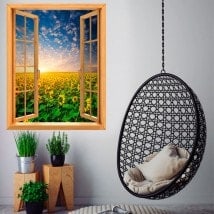 Windows 3D sunflowers