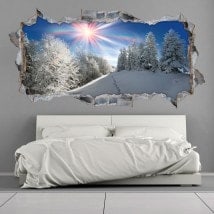 Vinyl 3D snowy mountains sunbeams