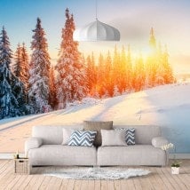 Snowy Mountain photo wall murals