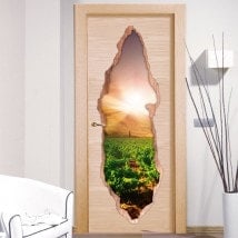 Sunset in the vineyard 3D doors vinyl