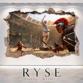 Vinyl and stickers 3D Ryse Son Of Rome