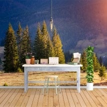 Photo wall murals nature pine