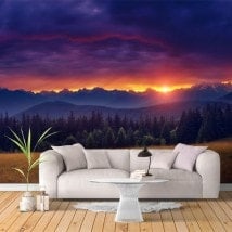 Nature sunset photo wall murals