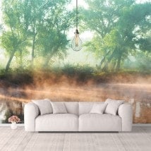 Photo wall murals sunset on the Lake