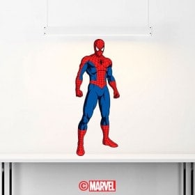 Decorative vinyl Spiderman