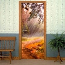 Doors vinyls Sunbeams In Nature