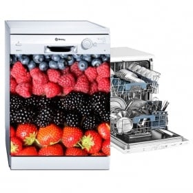 Dishwasher vinyls fruits collage