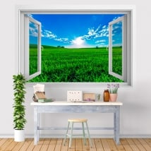 Vinyl walls sunset in the field 3D