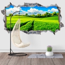 Decorative vinyl 3D nature