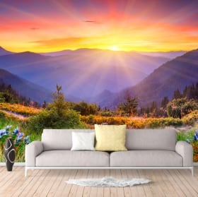 Vinyl wall murals sunset in the mountains