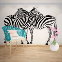 Decorative vinyl walls zebras