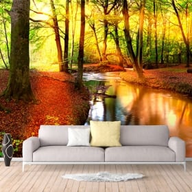 Wall mural sunset in the forest in autumn