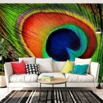 Wall murals Peacock feather