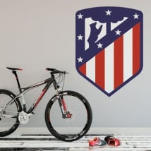 Vinyl madrid athletic club shield