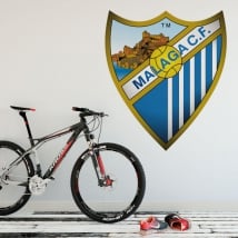 Vinyl shield málaga football club