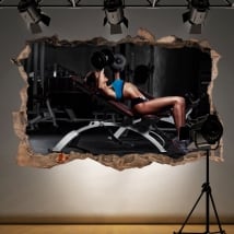 Decorative vinyl gym fitness 3d