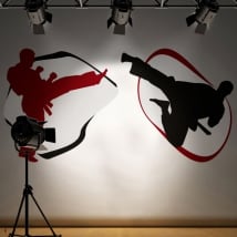 Wall murals karate-do silhouettes