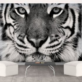 Vinyl mural tiger