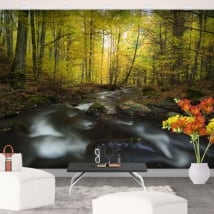 Vinyl wall murals river nature in autumn