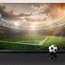 Vinyl wall murals panoramic football stadium