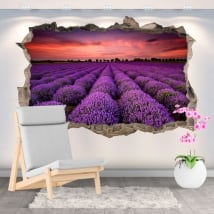 Vinyl and stickers sunset in the lavender field 3d