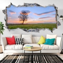 Vinyl hole wall sunset in the field 3d